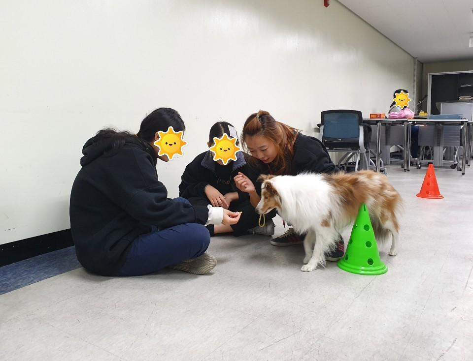 20191106_2.jpg